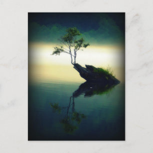 Cartão Postal Contra todas as probabilidades - Linda fotografia