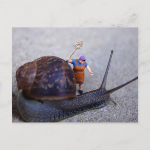 Cartão Postal Controle de pragas