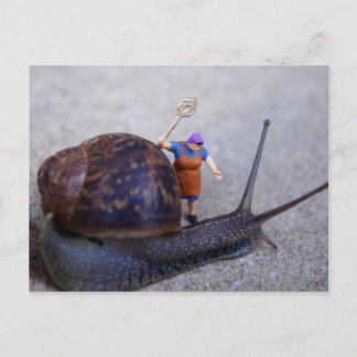 Cartão Postal Controle de pragas