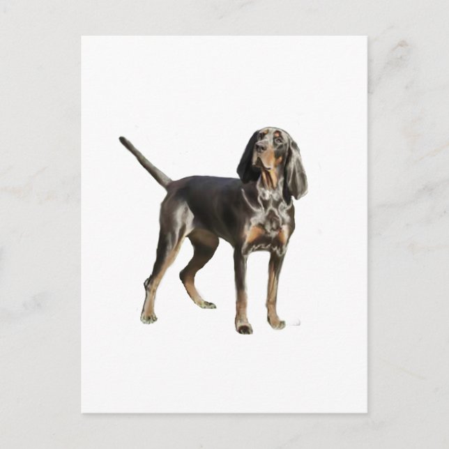 Cartão Postal Coon Hound Preto e Marrom Americano (Frente)