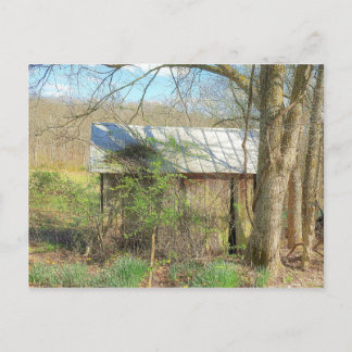 Cartão Postal Coop de frango antigo