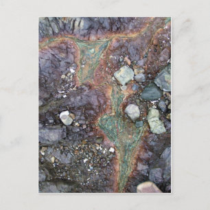 Cartão Postal Copper Nova Zelândia