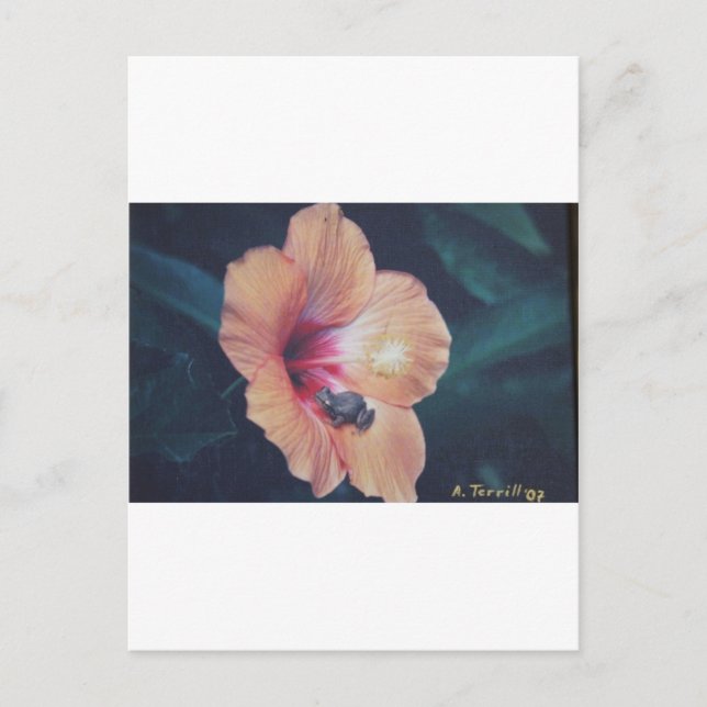 CARTÃO POSTAL COQUI (Frente)