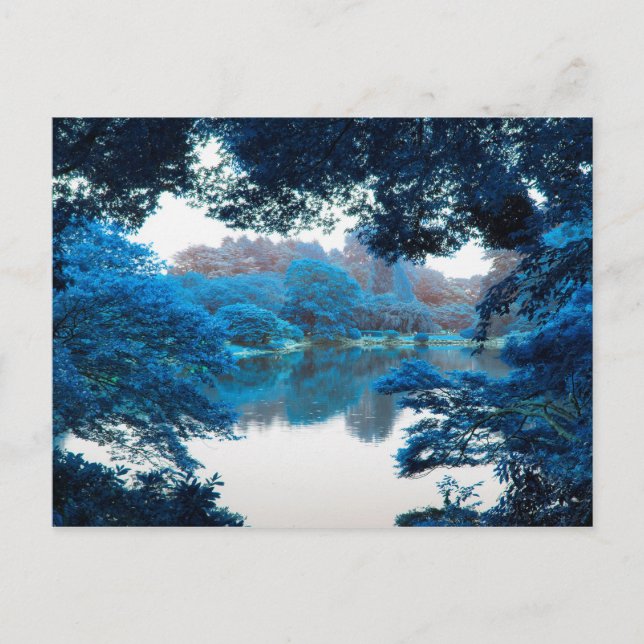 Cartão Postal Cor azul legal, natureza única, lago (Frente)