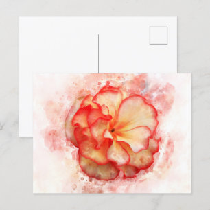 Cartão Postal Cor da água da flor da Begónia - wb3