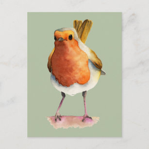 Cartão Postal Cor d'água - Cor laranja - rosa Robin Pássaro