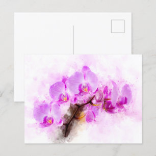 Cartão Postal Cor d'água das flores das orquídeas - wb cor-de-ro