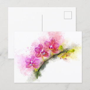 Cartão Postal Cor d'água das flores das orquídeas - wb cor-de-ro