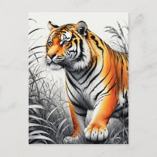 Cartão Postal Cor de Arte Tigre Desenho Branco Parcial Preto
