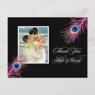 Cartão Postal Cor de fundo do obrigado de pavão PixDezines