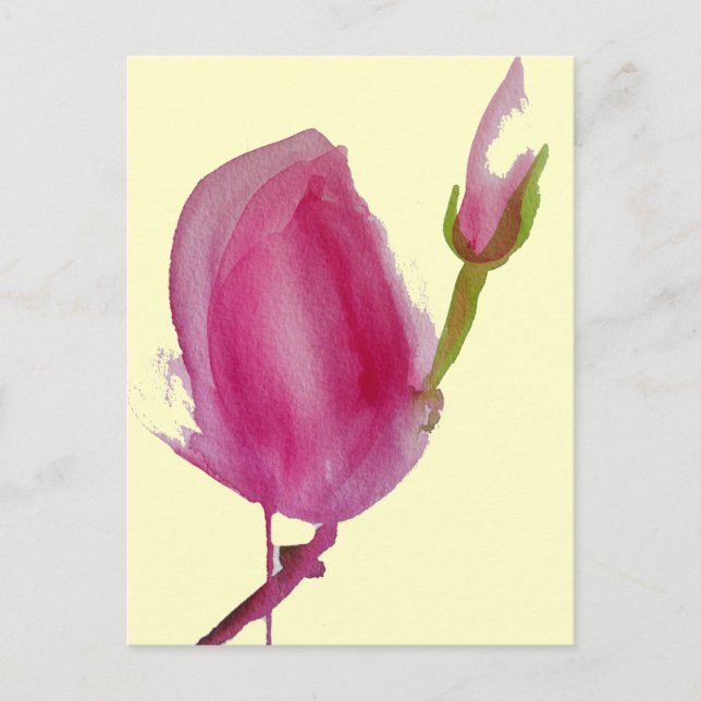 Cartão Postal Cor-de-rosa Magnolia, flor de aquarela (Frente)