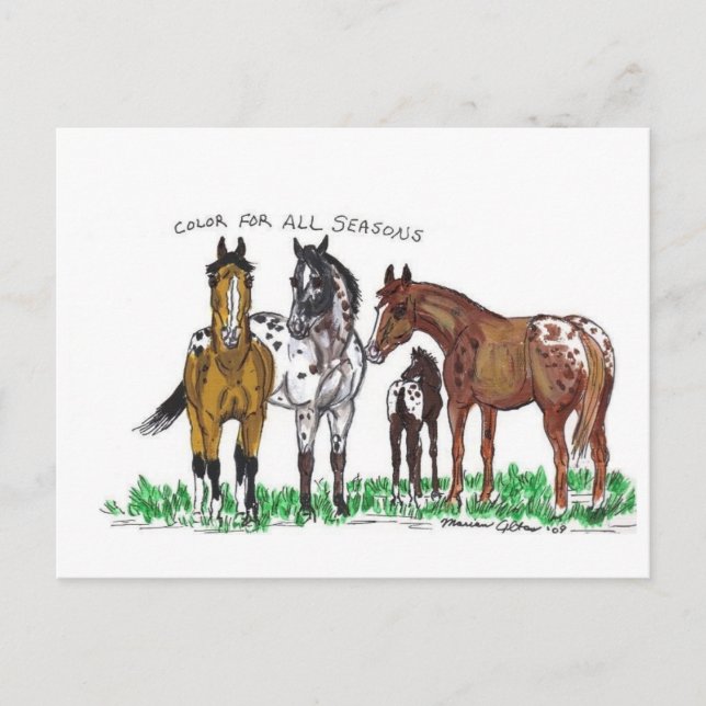 Cartão Postal Cor Para Todas as Estações (Frente)