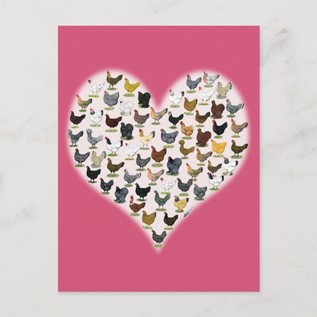 Cartão Postal Coração de Galinha (Frente)