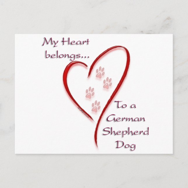 Cartão Postal Coração do Cachorro german shepherd Pertence (Frente)