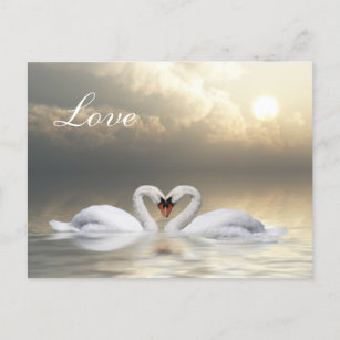 Cartão Postal Coração dos Cisnes