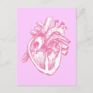 Cartão Postal Coração Humano Rosa