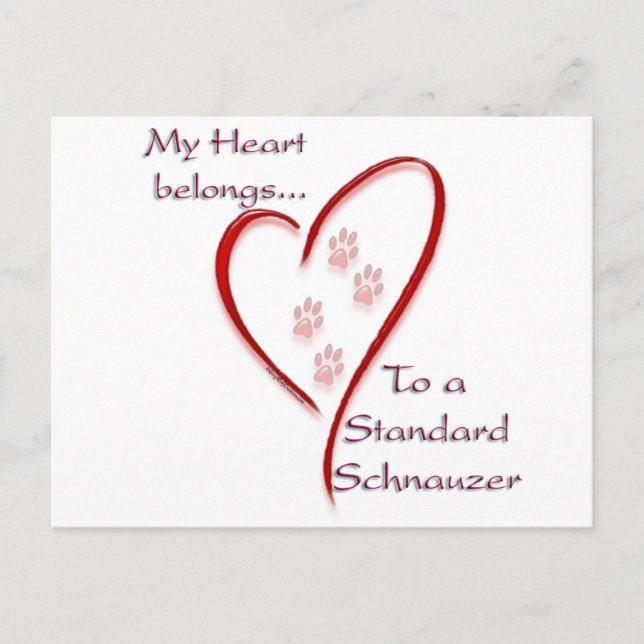 Cartão Postal Coração Standard Schnauzer Pertence (Frente)