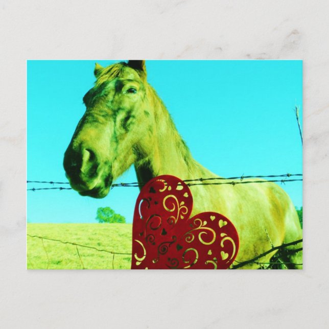 Cartão Postal Coração Vermelho e Cavalo (Frente)