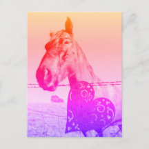 Coração Vermelho e Cavalo Valinetine ou amor