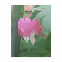 Corações Sangrentos~ Dois Corações Como Um