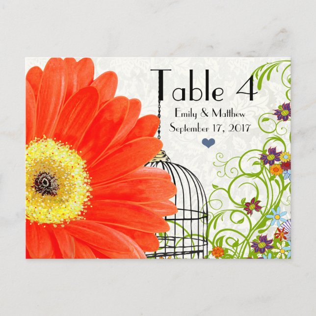 Cartão Postal Coral Gerber Daisy Bird Cage (Frente)