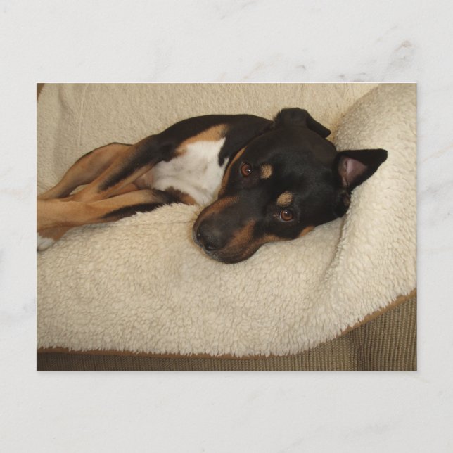 Cartão Postal Corby (Frente)