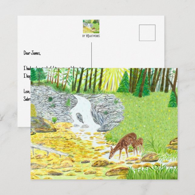 Cartão Postal Corça e Veado (Frente/Verso)