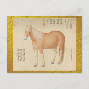 Cartão Postal Corcel Palomino Dourado - Arte Chinesa Vintage