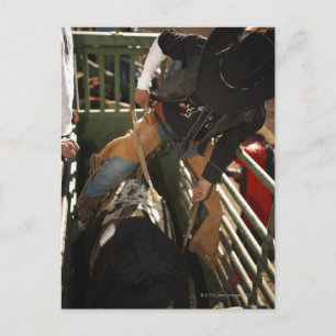 Cartão Postal Corda amarrada em touro no chute