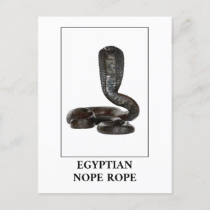 Cartão Postal Corda da Esperança Egípcia - Perigo do Cobra Cobra