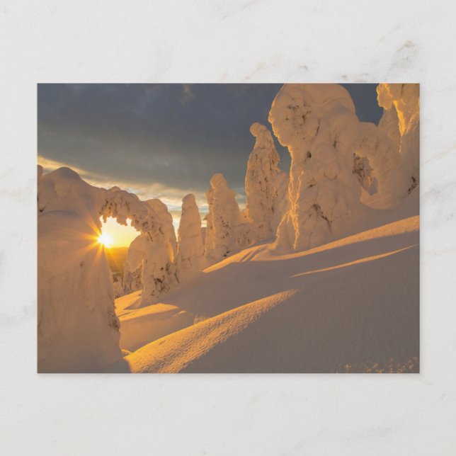 Cartão Postal Cordilheira | Whitefish, Montana (Frente)