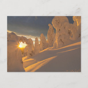 Cartão Postal Cordilheira   Whitefish, Montana