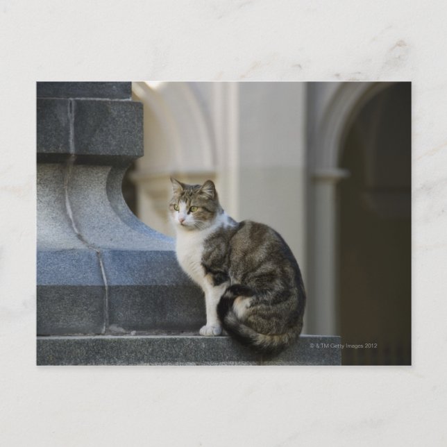 Cartão Postal Córdova, argentina (Frente)