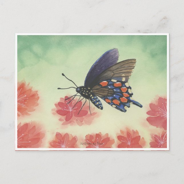 Cartão Postal Cores de água da borboleta (Frente)