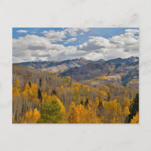 Cartão Postal Cores de Outono de Aspens & Oaks Keebler Pass