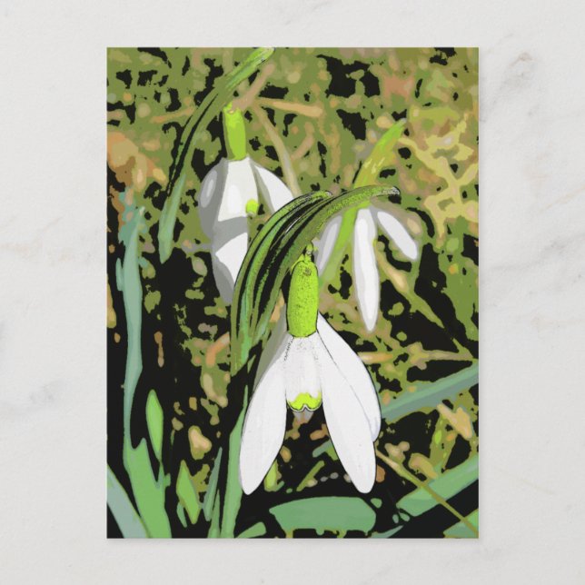 Cartão Postal Cores de Primavera (Frente)