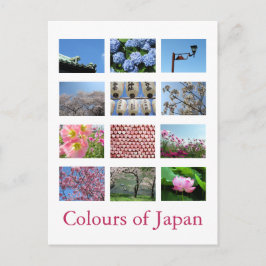 Cartão Postal Cores do Japão (azul/branco/rosa)