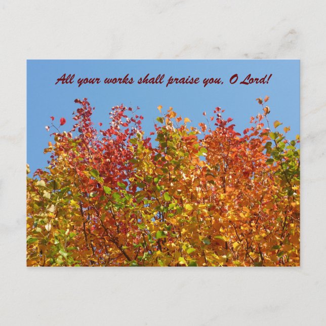 Cartão Postal Cores do outono 4 (Frente)