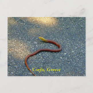 Cartão Postal Corfu, Grécia