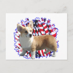 Cartão Postal Corgi Galês de Pembroke Patriota