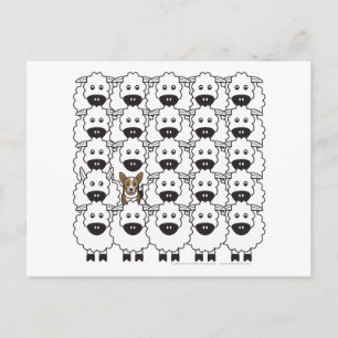 Cartão Postal Corgi na Ovelha