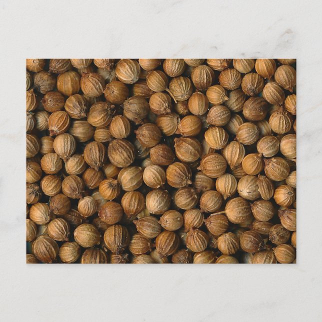 Cartão Postal Coriander (Frente)