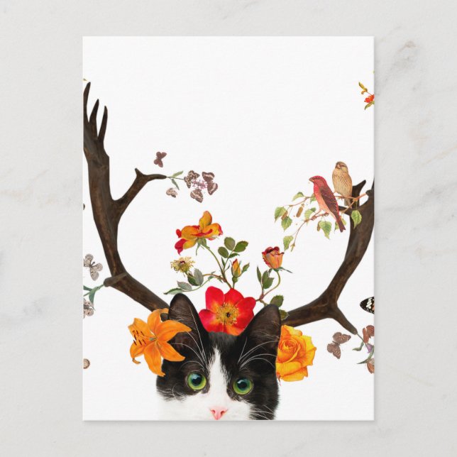 Cartão Postal Cornos de Gato (Frente)