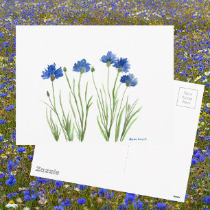 Cartão Postal Cornuflores