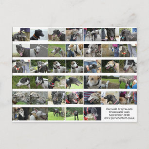 Cartão Postal Cornwall Greyhounds - setembro de 2018