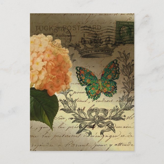 Cartão Postal Coroa francesa Hydrangea (Frente)