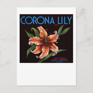 Cartão Postal Corona Lily