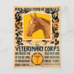 Cartão Postal Corpo Veterinário