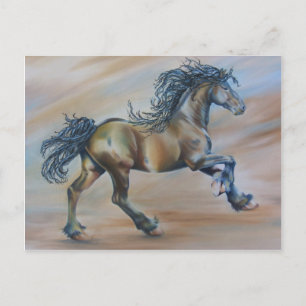 Cartão Postal Corredor do Vento