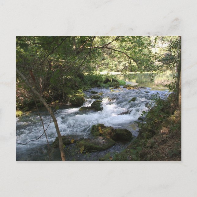 Cartão Postal Córrego em Alley Springs, Missouri (Frente)